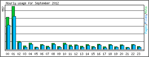 Hourly usage