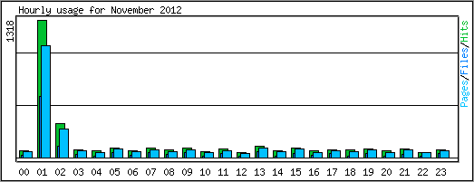 Hourly usage