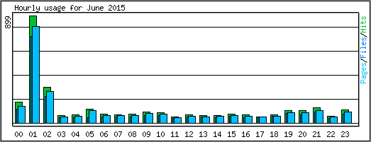 Hourly usage