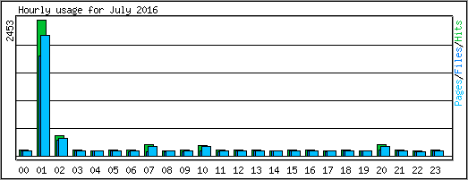 Hourly usage