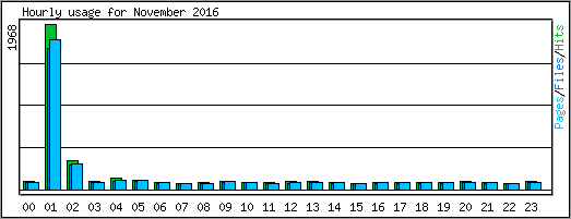 Hourly usage