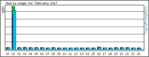 Hourly usage