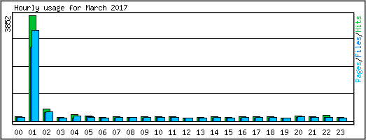 Hourly usage
