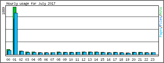 Hourly usage