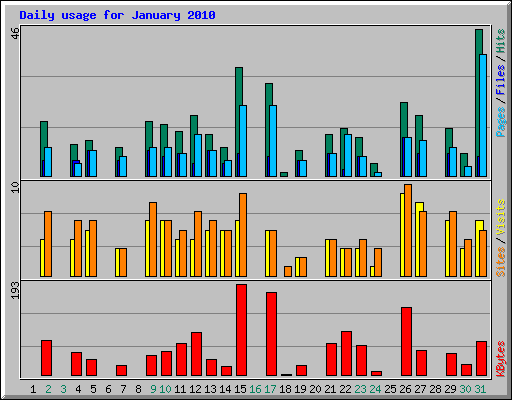 Daily usage for January 2010