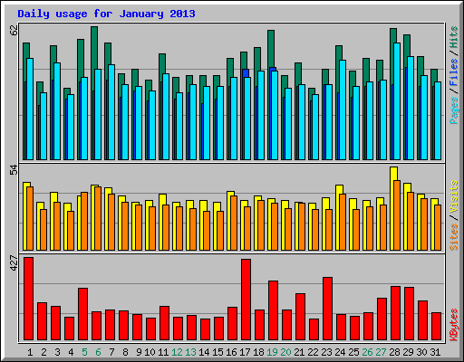 Daily usage for January 2013