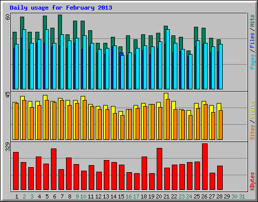Daily usage for February 2013