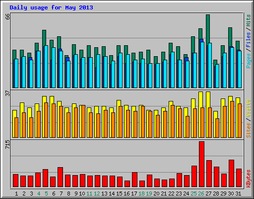 Daily usage for May 2013
