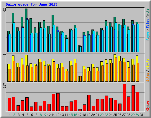 Daily usage for June 2013