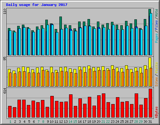 Daily usage for January 2017