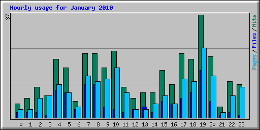 Hourly usage for January 2010