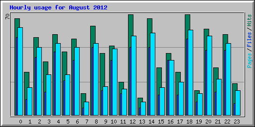 Hourly usage for August 2012