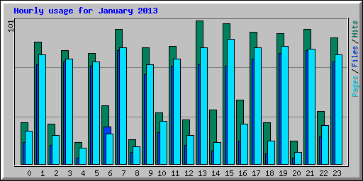Hourly usage for January 2013