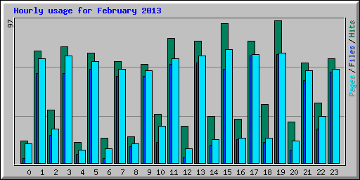 Hourly usage for February 2013