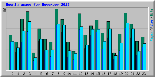 Hourly usage for November 2013