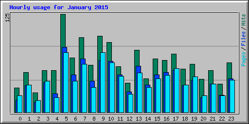Hourly usage for January 2015
