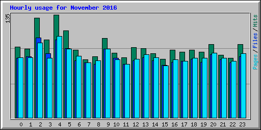 Hourly usage for November 2016