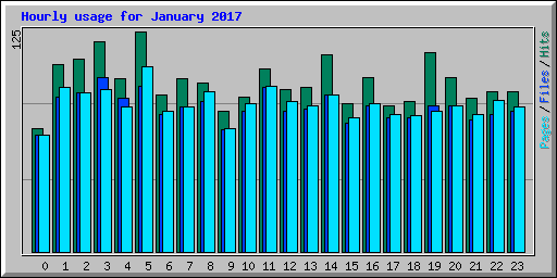 Hourly usage for January 2017